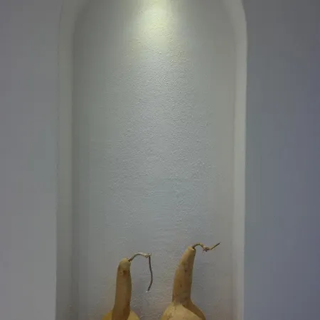 Nunu House Дом отдыха