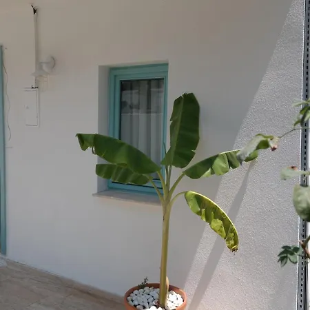 Nunu House * Урла