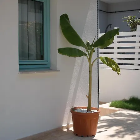 Nunu House * Урла